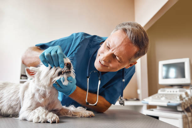 Best Urgent Dental Care in Concordia, NJ